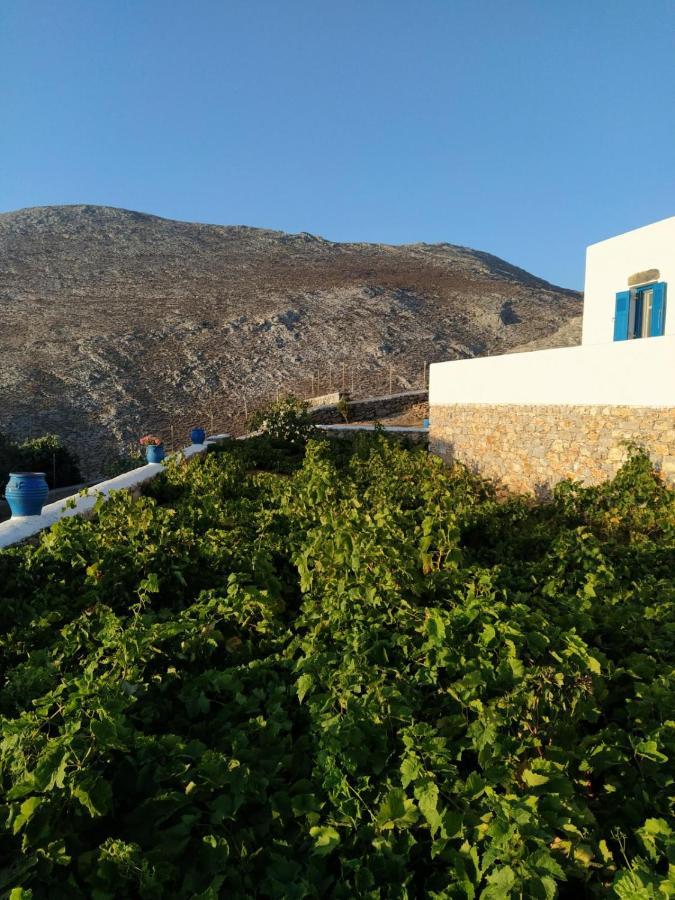 אמורגוס Cycladic Houses In Rural Surrounding מראה חיצוני תמונה