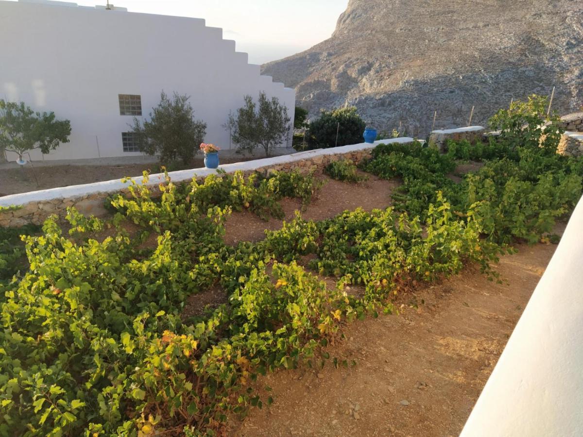 אמורגוס Cycladic Houses In Rural Surrounding מראה חיצוני תמונה